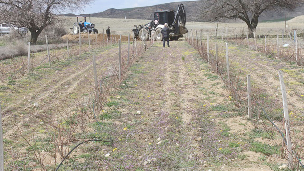 Yozgat'ta Aronya Seferberliği (2)