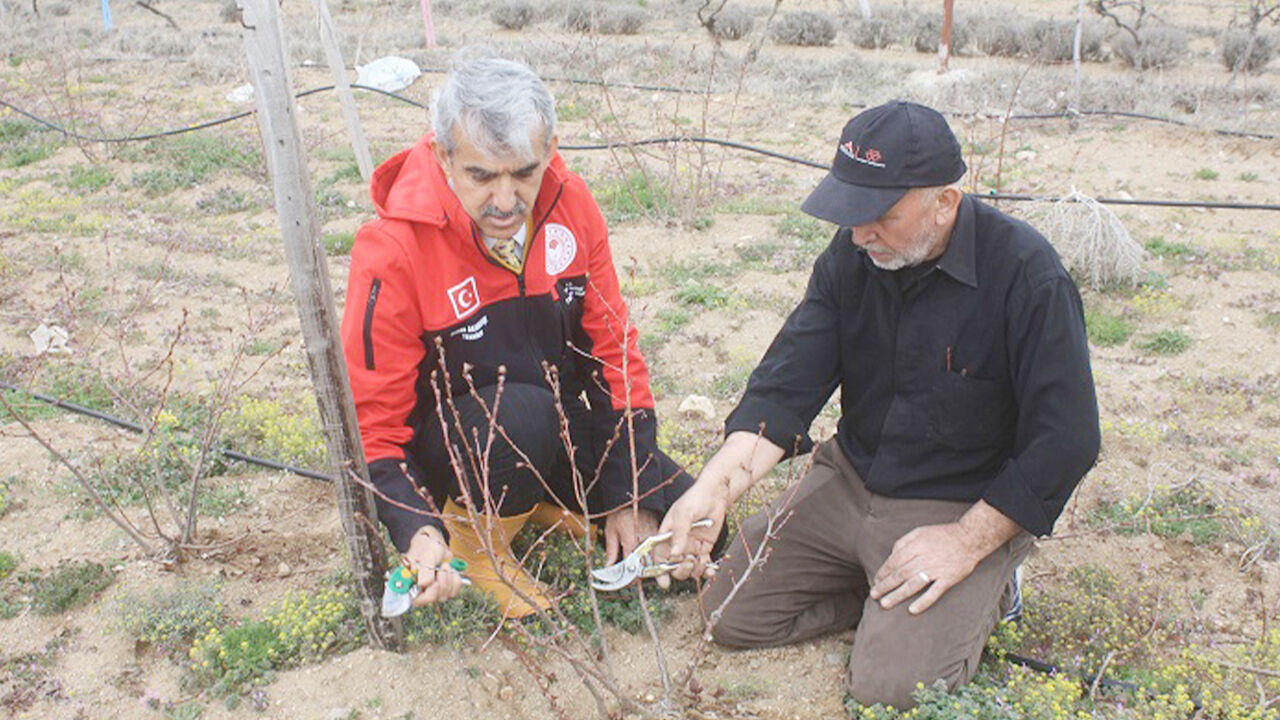 Yozgat'ta Aronya Seferberliği (4)