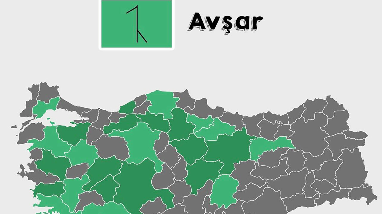 Avşar-1