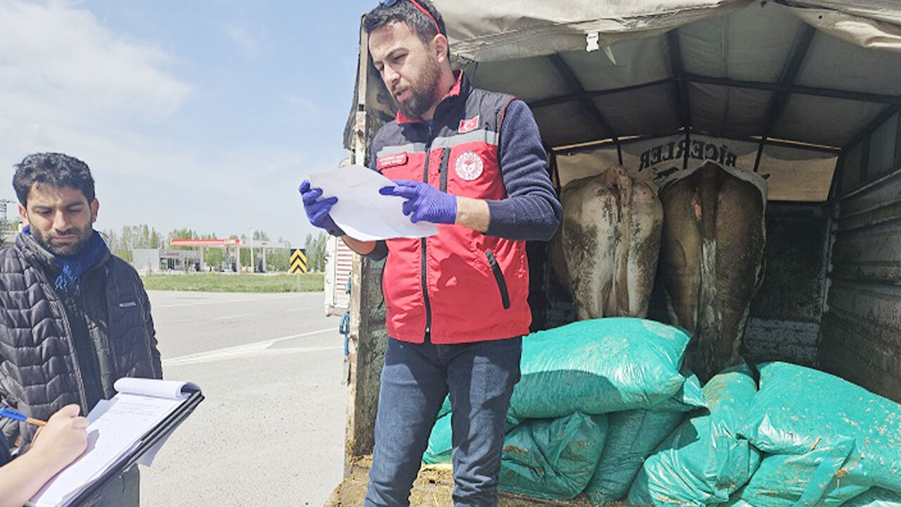 Kurban Öncesi Denetim Tam Gaz! (1)