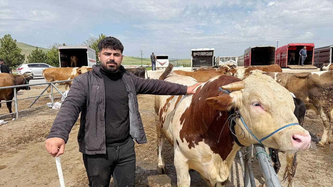Kurban Pazarında Hareketlilik! (5)