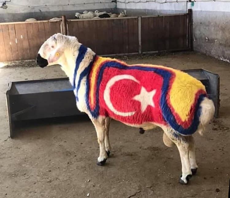Rıfat Çakır (5)-1