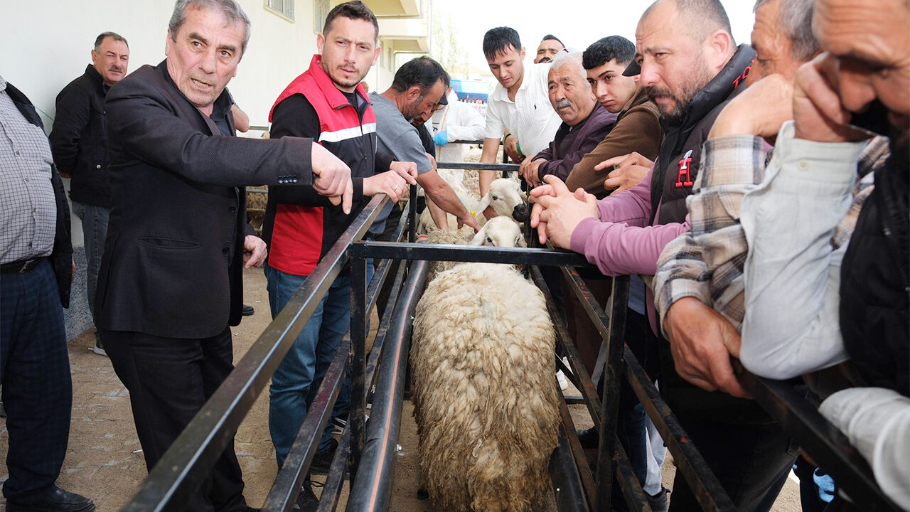 Sağlıklı Koçlarla Kan Değişecek (1)