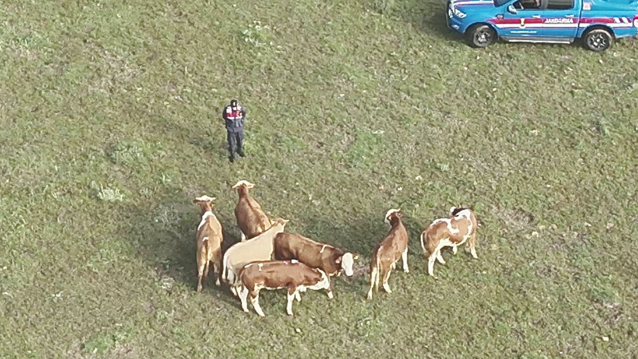 Yozgat’ta Hayvanları Kaybolan Vatandaşın Imdadına Jandarma Yetişti (1)
