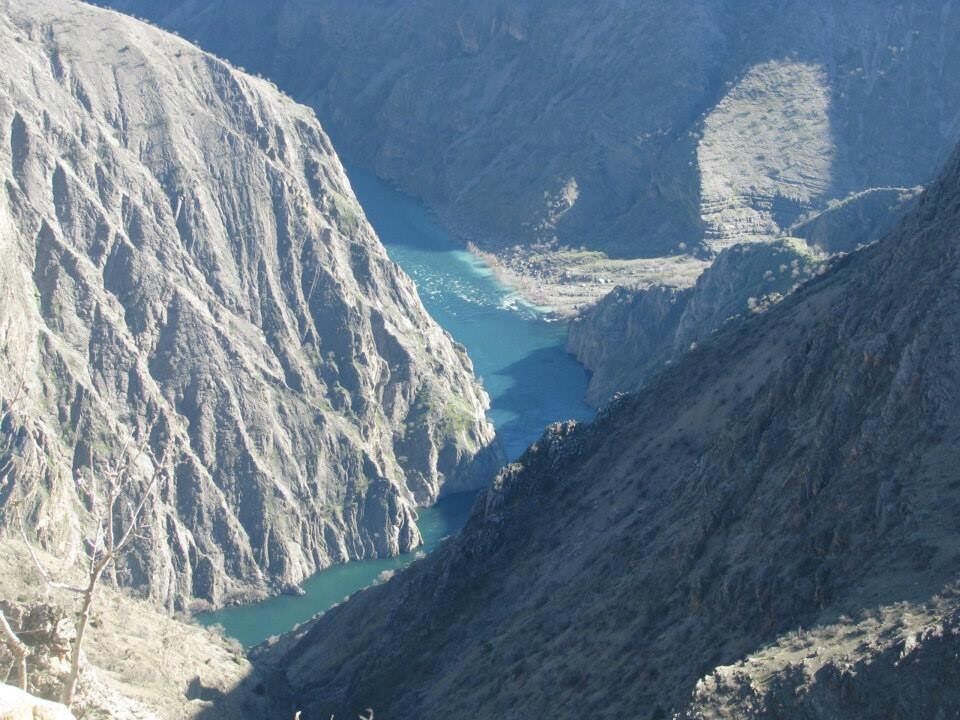 Ptürge (5)